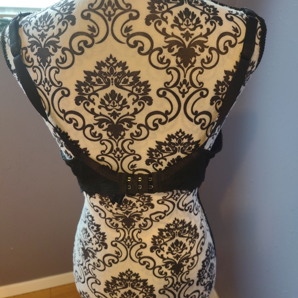 2 piece Bustier/Bra Set - Picture 9 of 11